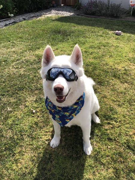 Butters 