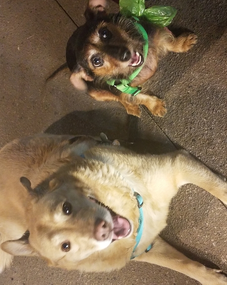 Bella & Minnie