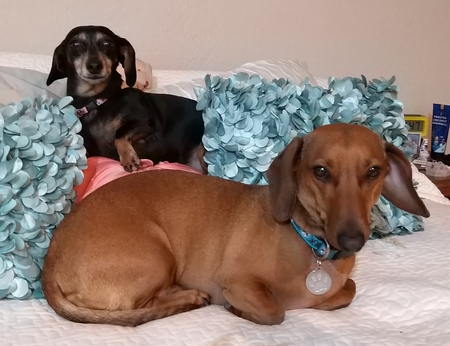Picolina and Frida