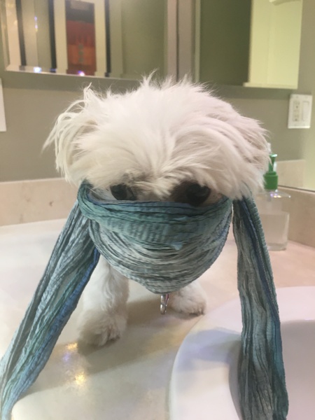 Roxy