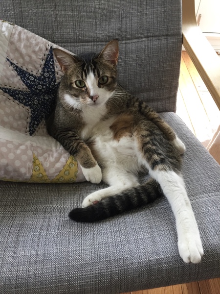 Pixel 