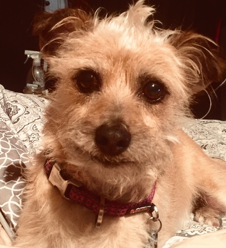 Zoey 