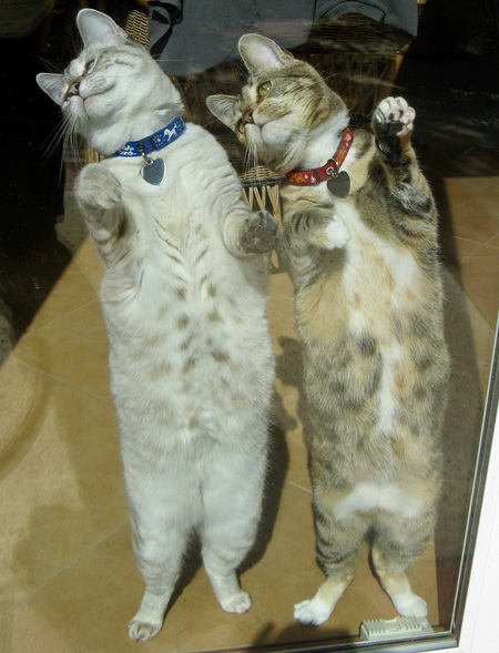 Lucie & Lola