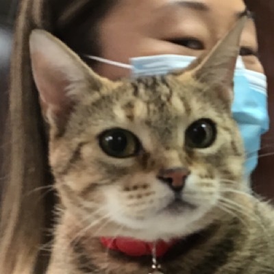 Sabrina