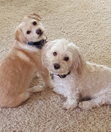 Murphy & Marty