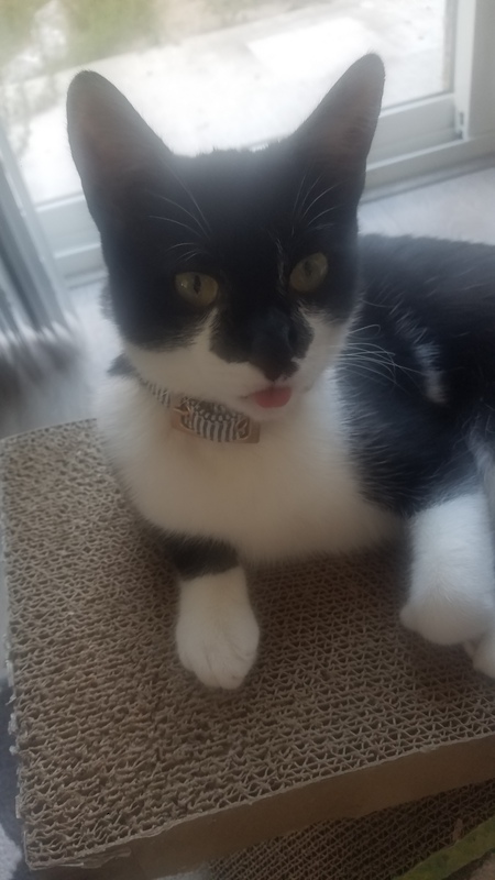 Dori