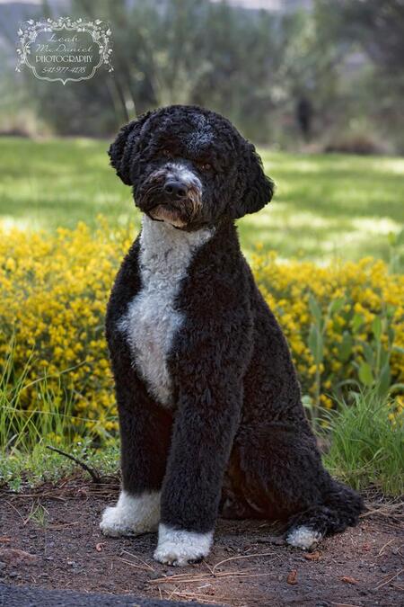 Tucker