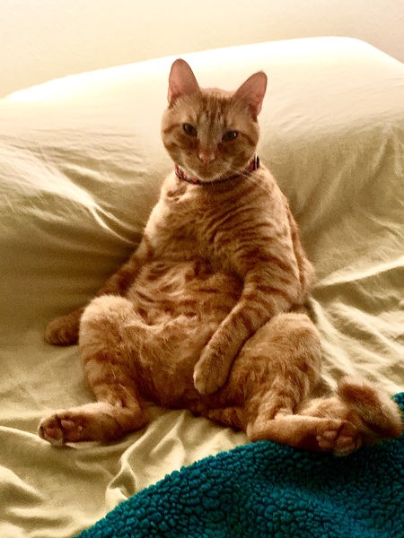 Mr. Bubbles
