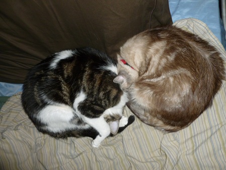 Bela  & Amanda -  Nap time