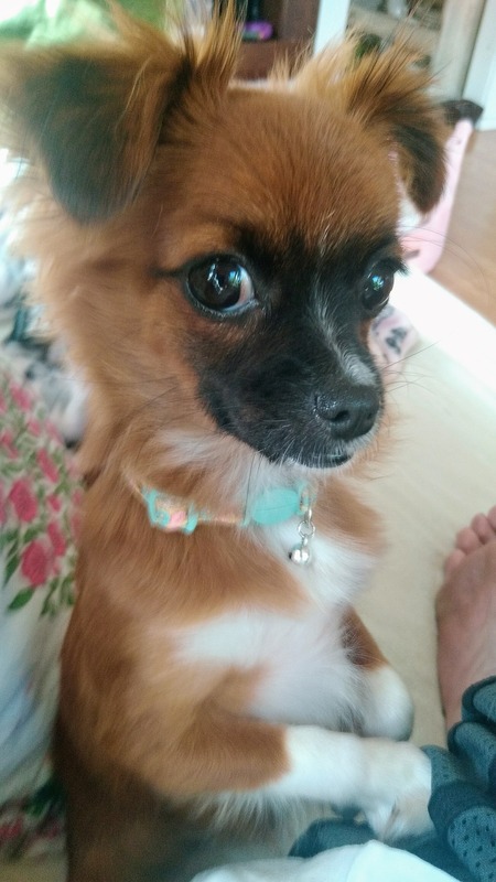 Miss Penny