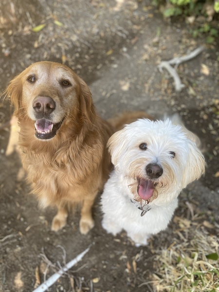 Winnie & Sophie