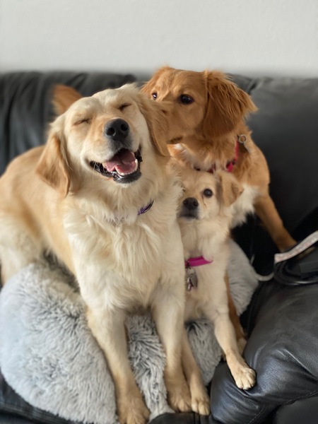 Holly, Sansa & Arya