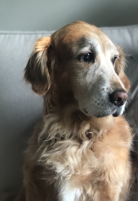 Murphy