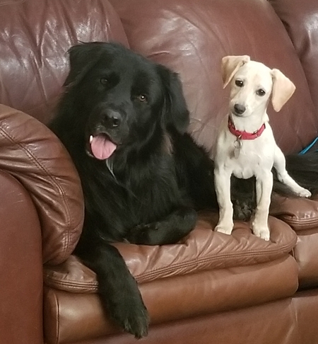 Coal and foster friend Azalea