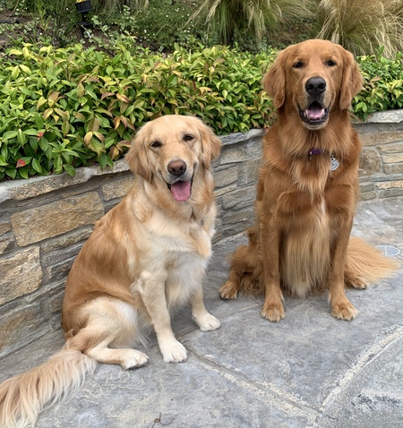 Emily & Cody