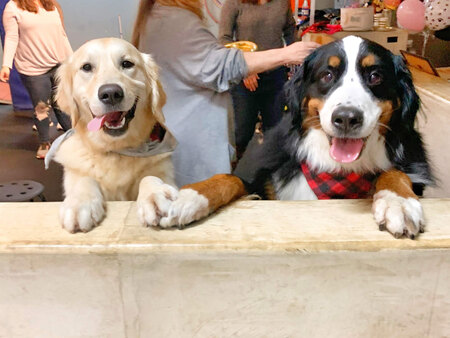 Hudson and Jax