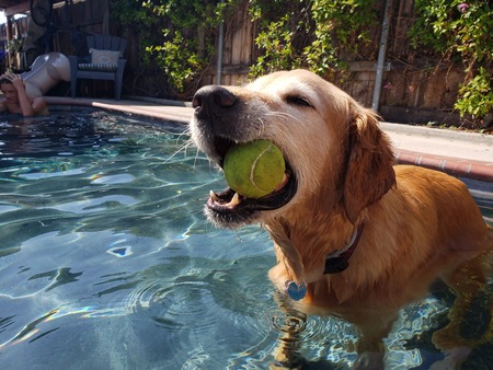 Jake