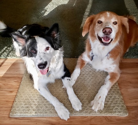 Bobby and Flint
