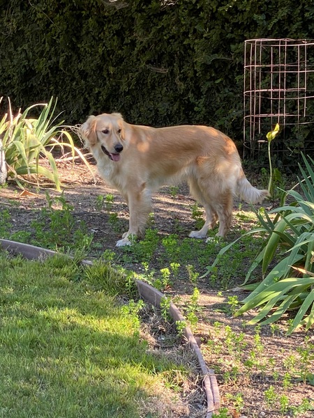 Zoe