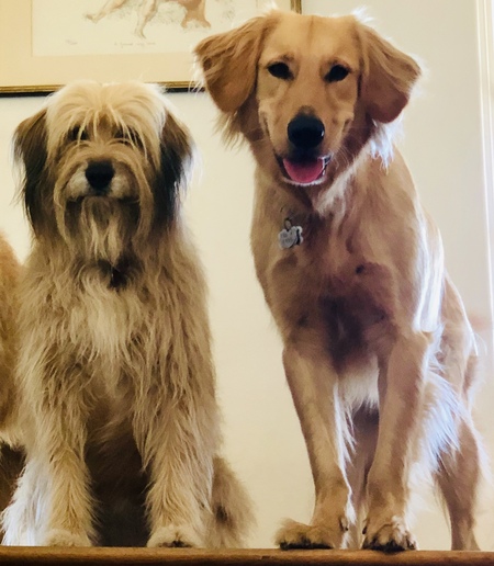 Hunter and Maizie