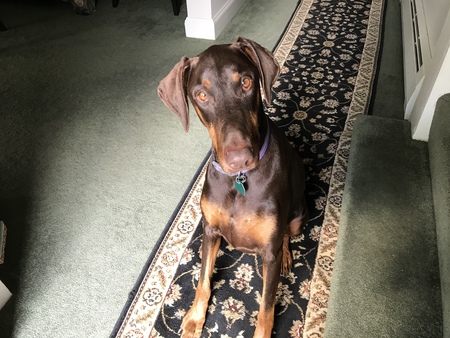 Ruby