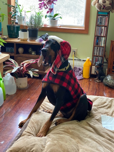 Jessegirl