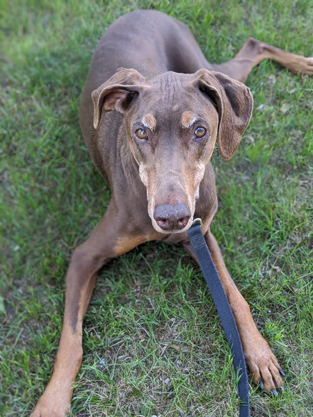 Wally