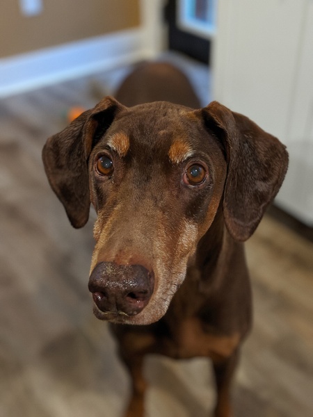 Wally