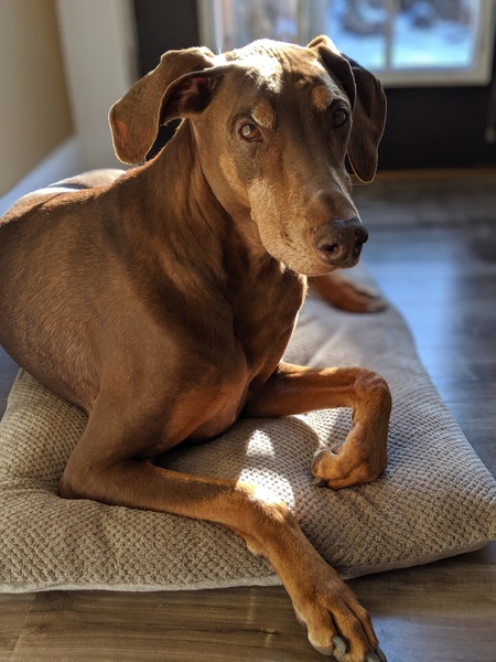 Wally
