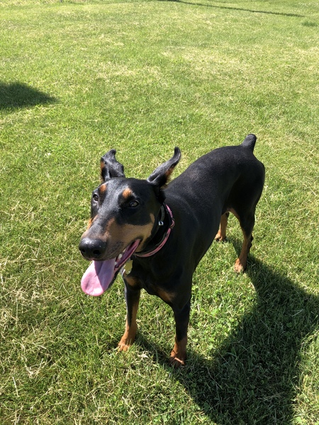 Ruby 