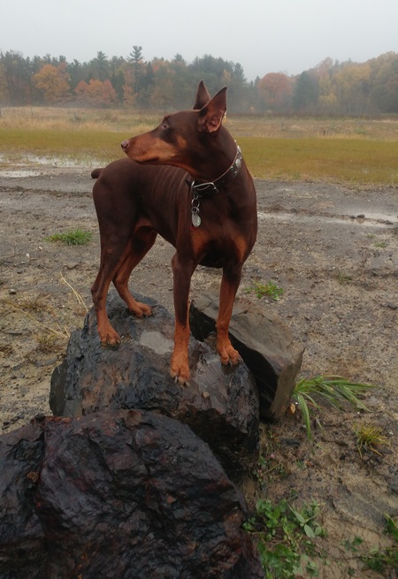 Bailey Button (aka BB)
