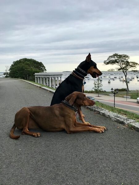 Coco and Pelle