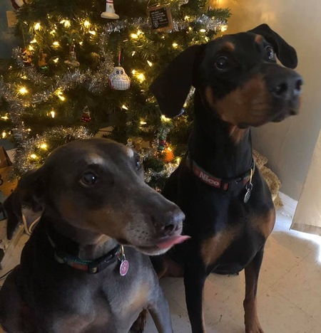 Farrah and Max