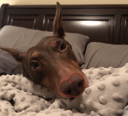 Gretchen