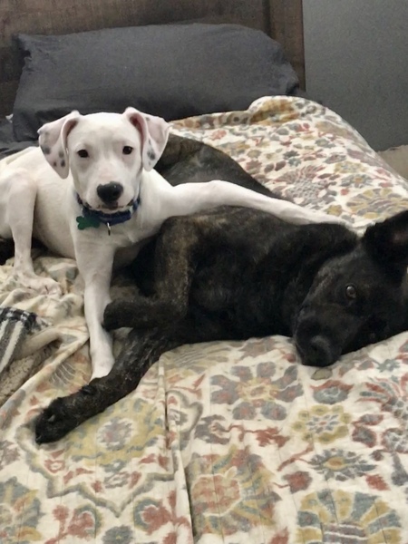 Emma and Lovie (nka Sophie)