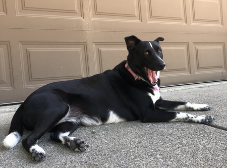 Ivy is a happy girl 