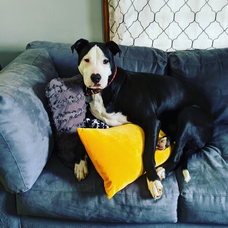 Axel