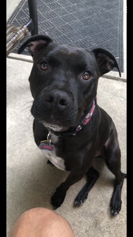 Nala