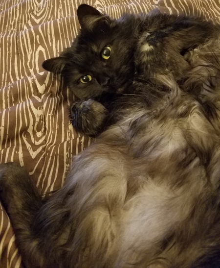 HUMPHREY