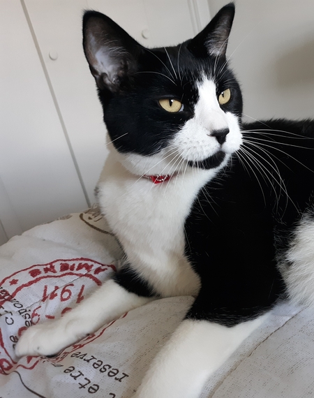Leo