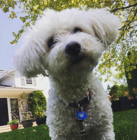 Molly