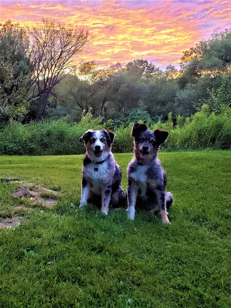 Sasha and Jack