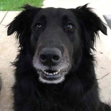 Roscoe