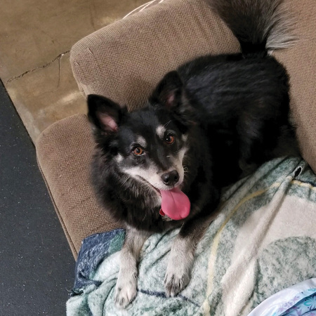 Dakota