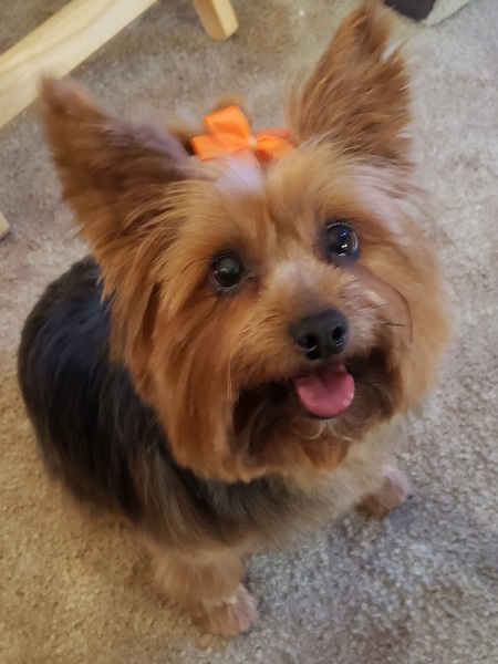 Sadie
