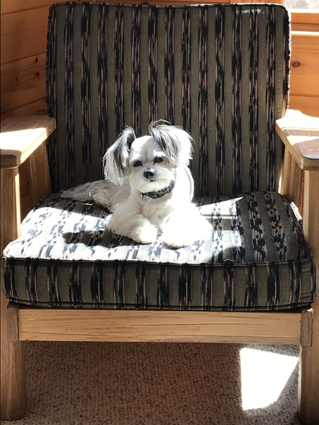 Sammie