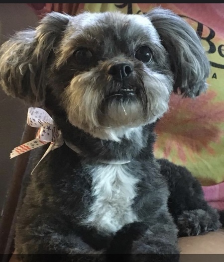 Sam