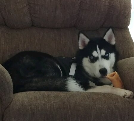 Zeus