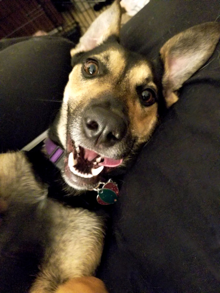 Abby