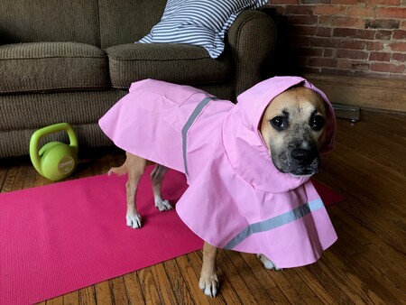 Peggy